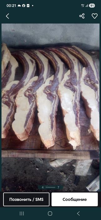 Жілік сойылады нал аласаңыз бағасы тиімді