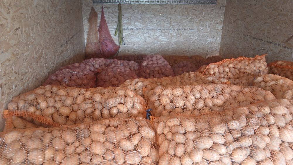 Cartofi animale  074[060]45]98