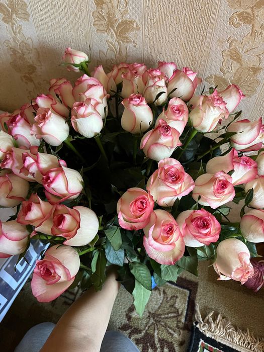 Голансские  розы