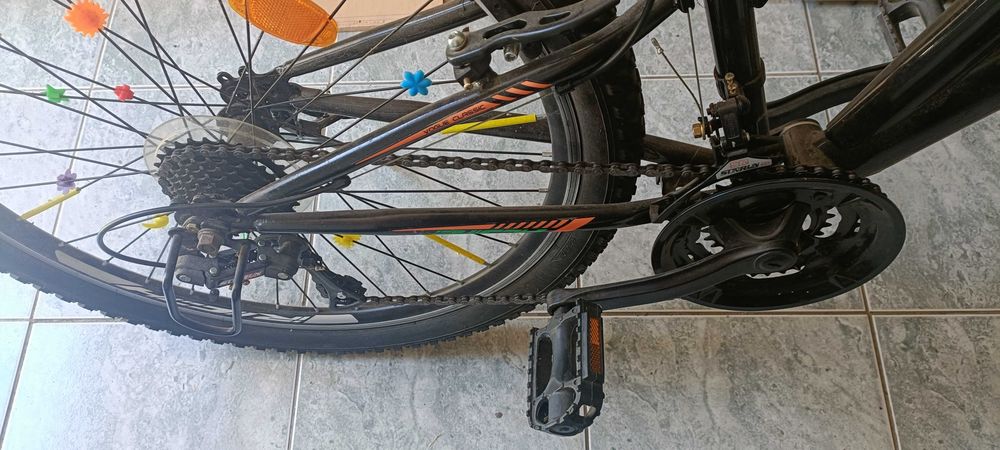 Vand bicicleta RICOH Alpin
