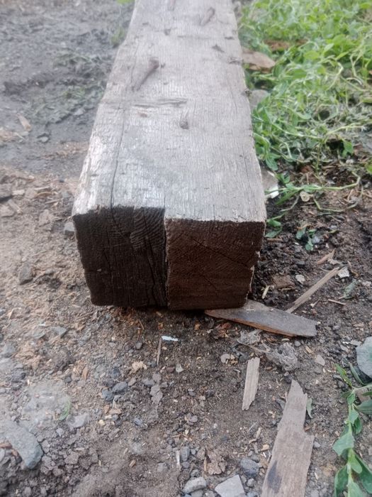 Продам срочно агаш