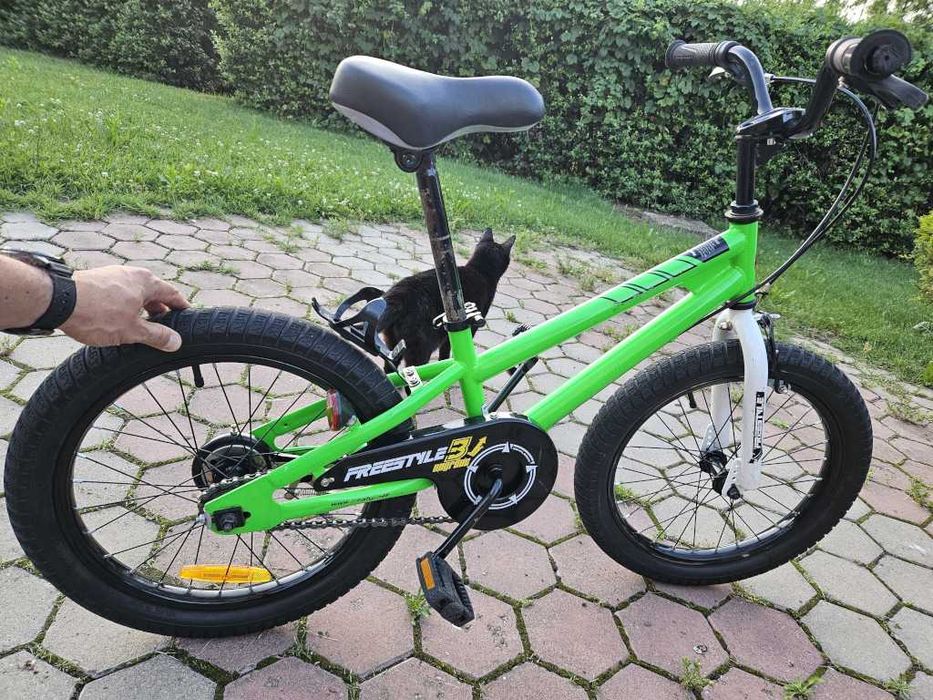 Bicicletă RoyalBaby Freestyle 18" – verde