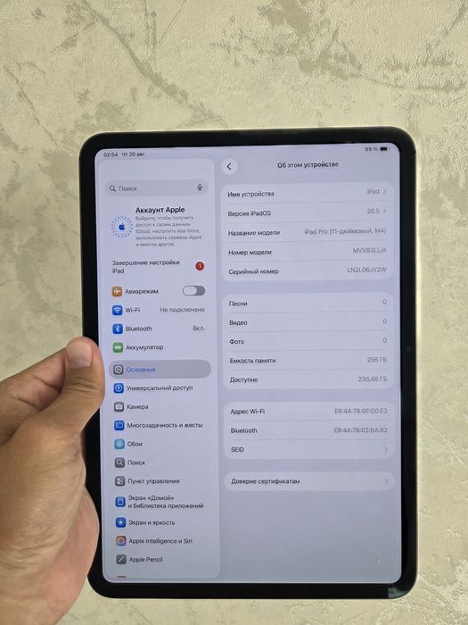 Ipad pro m4 256GB