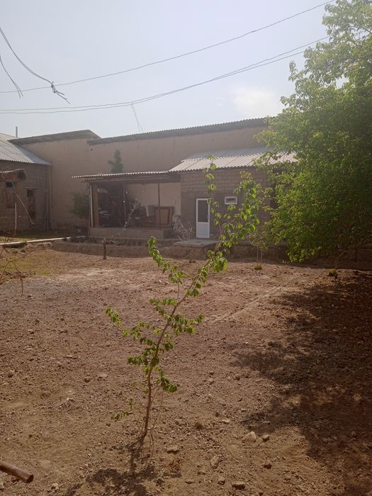 Уй сотилади Янгийу́л тумани Тинчликда