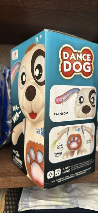 Музикално-денс куче