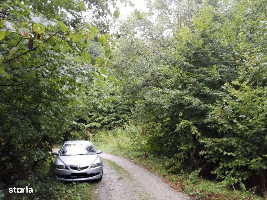 Proprietate rară în inima Retezatului – 5.700 mp teren intravilan