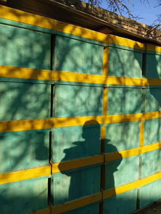 асалари.яшиклари