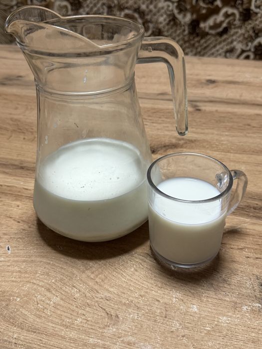 Продается козье молоко!