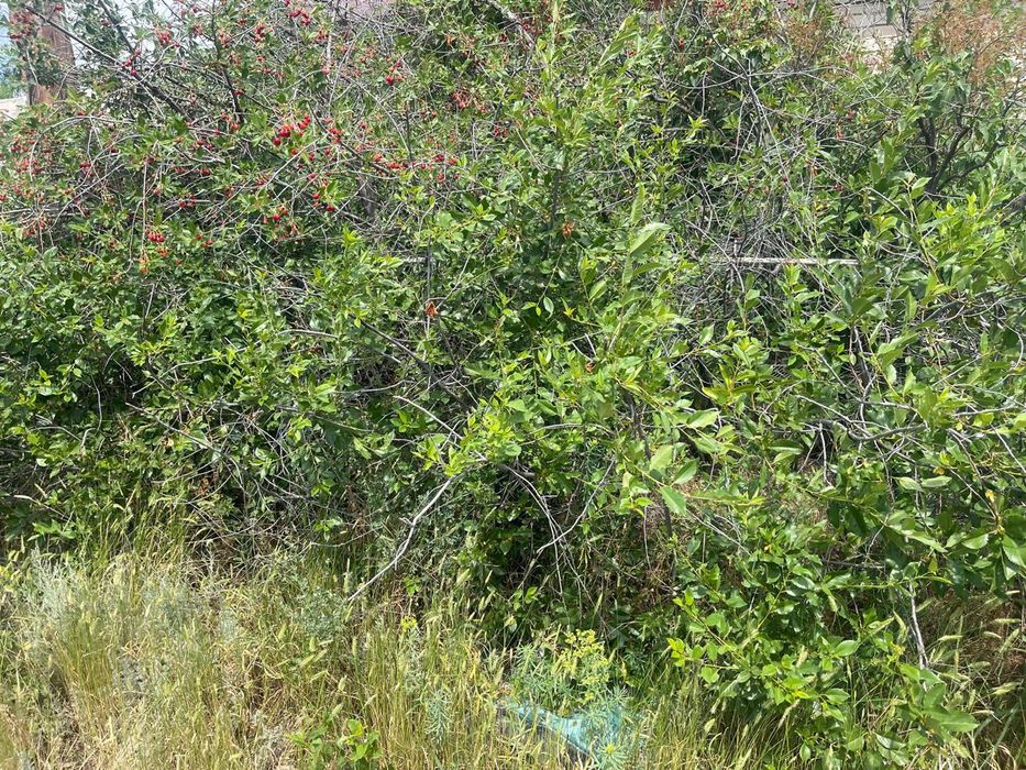 Продам участок батыс 2