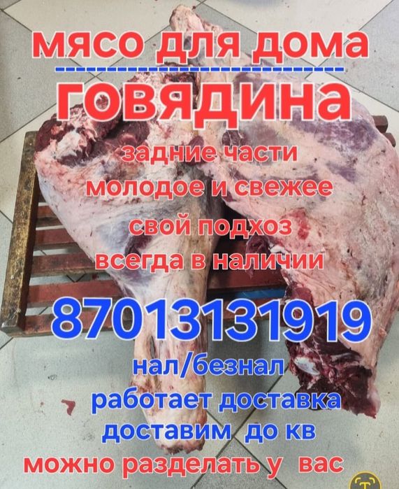 Мясо для дома, вывоз мусора