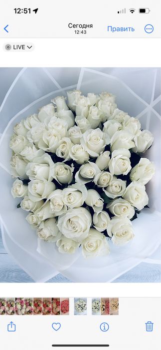 Алматы продам белые розы 51 шт