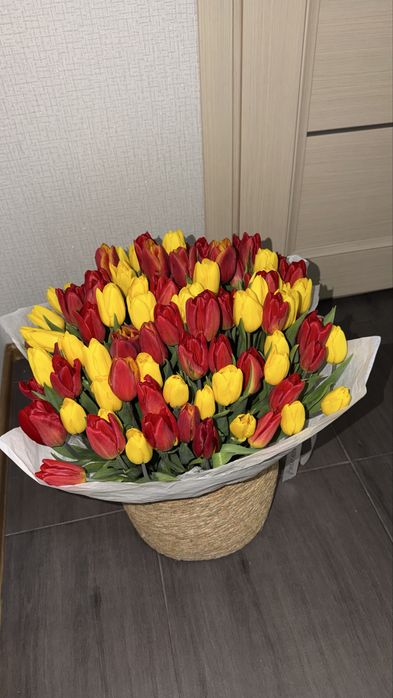 101 тюльпан свежий