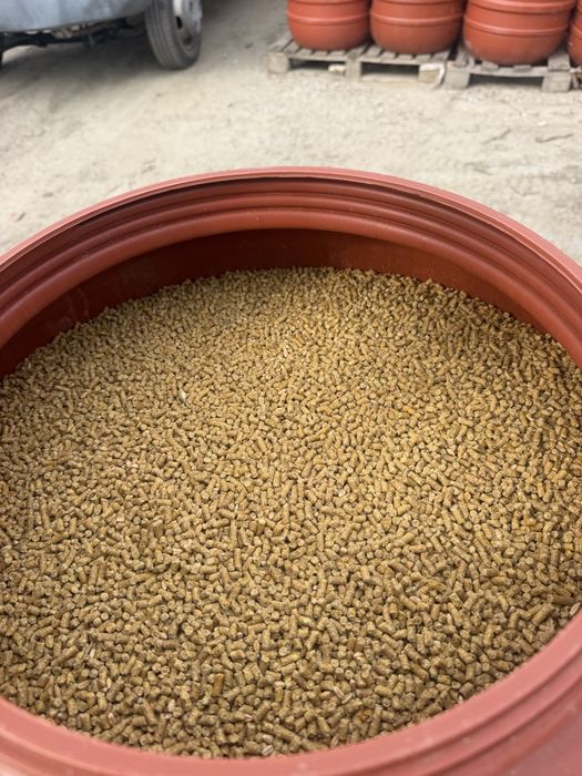 Vand furaj pellet găini ouătoare / pui