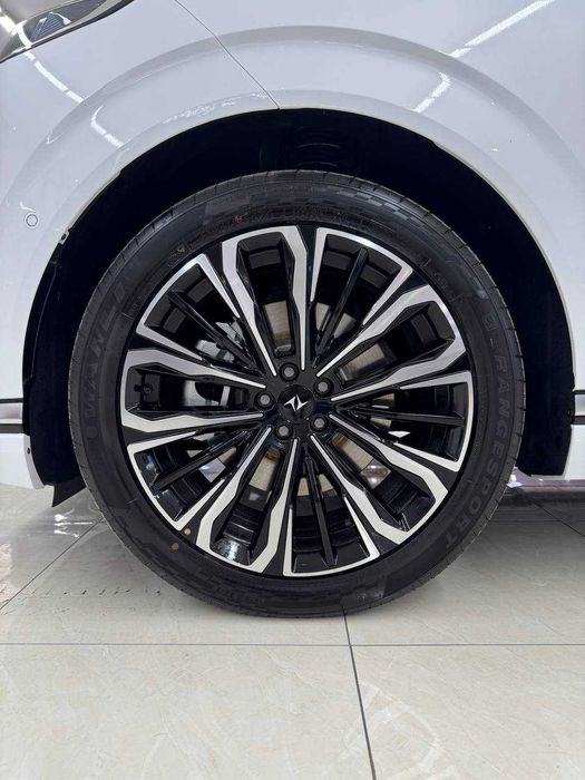 Dongfeng 008 Max pod zakaz