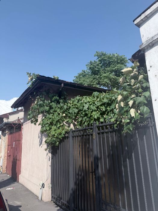 Casă – Bucuresti - Vedere 3
