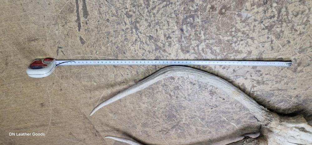 Разни рога еленови