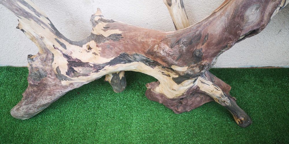 Корен за аквариум