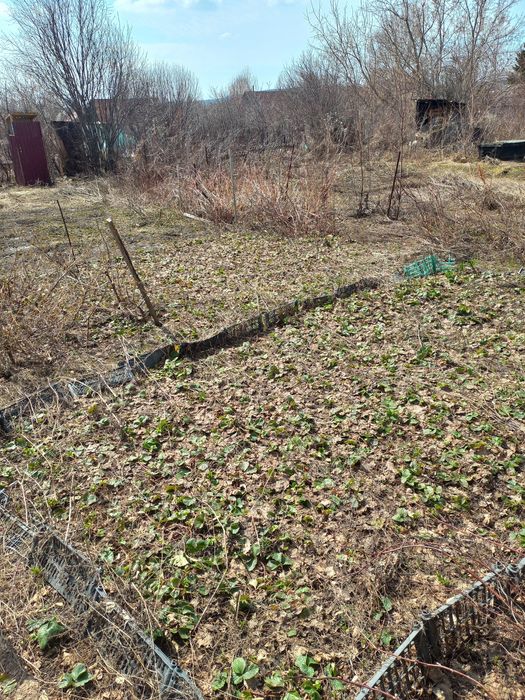 Продам дачу в Белаусовке!