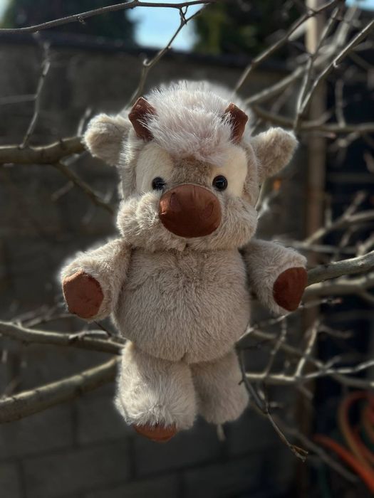 Бегущие телёнки.