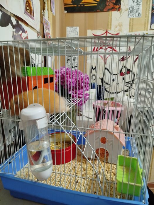Клетка для хомяков