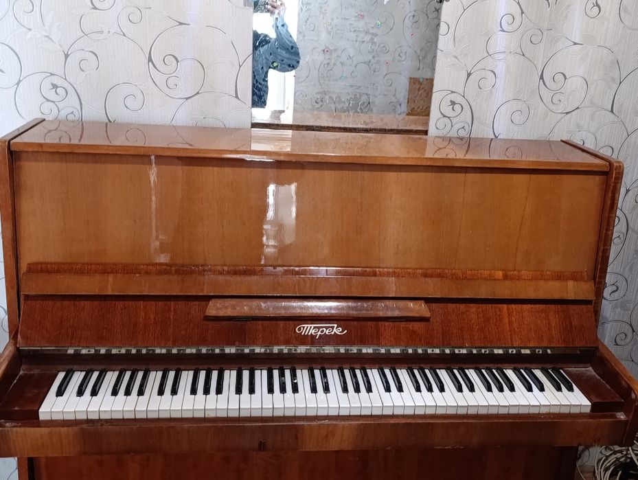 Продам пианино Терек