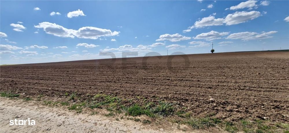 RECO Teren extravilan in Oradea 13000mp