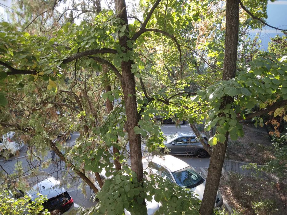 Inchiriere garsoniera in Drumul Taberei - Valea Ialomitei