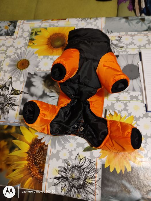 Кучешки дрехи за зимата