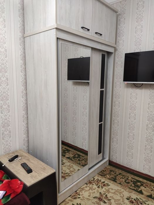 Шкаф купе антресоль (250×120×57)