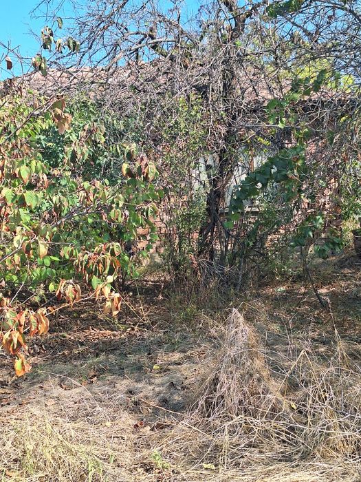 Продава се Парцел в София, Красна поляна 1 - 1100 кв.м за 12 €/кв.м - Снимка #11