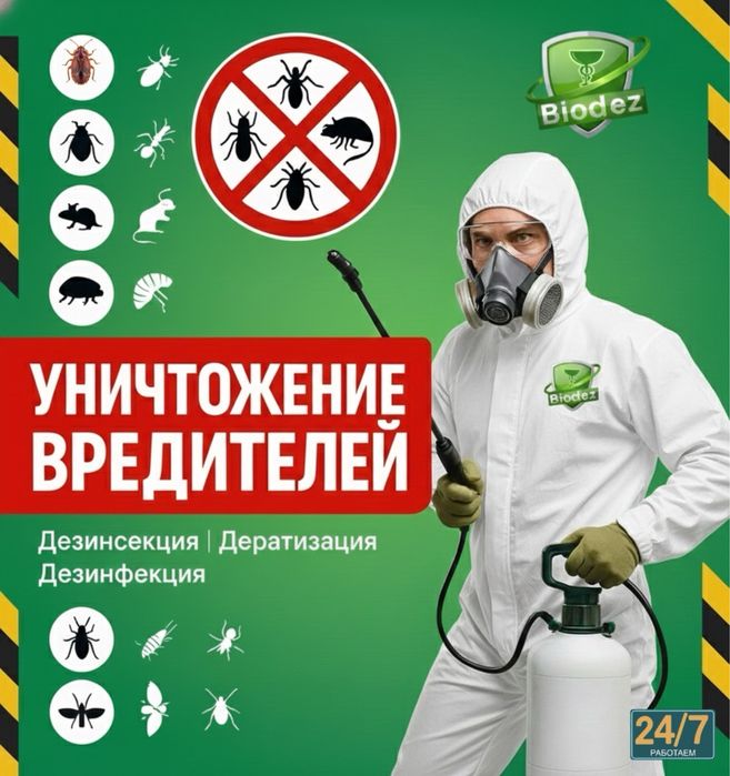 Дезинфекция квартир истребим от муравьев клопов таракан крыс блох моль