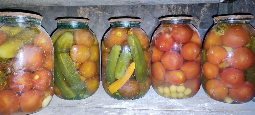 Соленья 2024 года