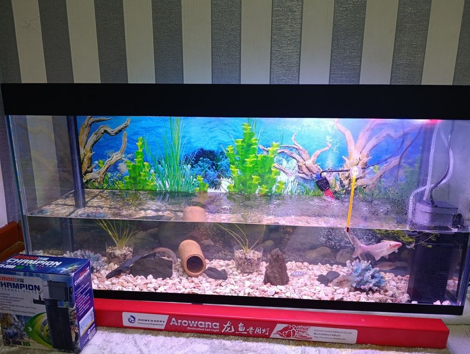 120 litrli akvarium