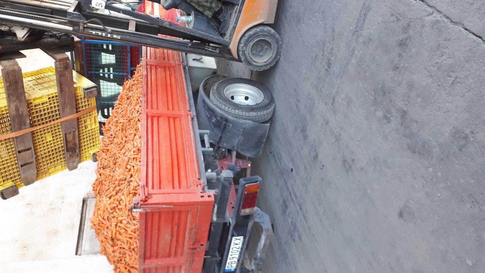 Пясък, чакъл, бетон, филц, извозване на отпадъци, транспорт.