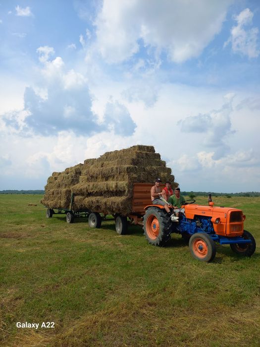 Baloți de iarbă  de vânzare