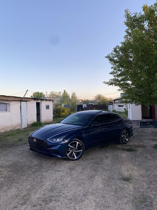 Диска соната r19