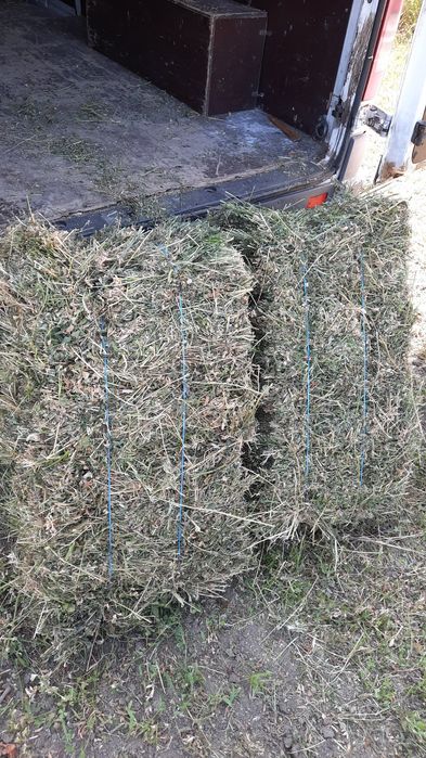 ‼️Baloti de lucerna și baloți de paie de grâu‼️