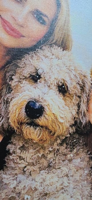 Tablou panza tablou canvas cadou