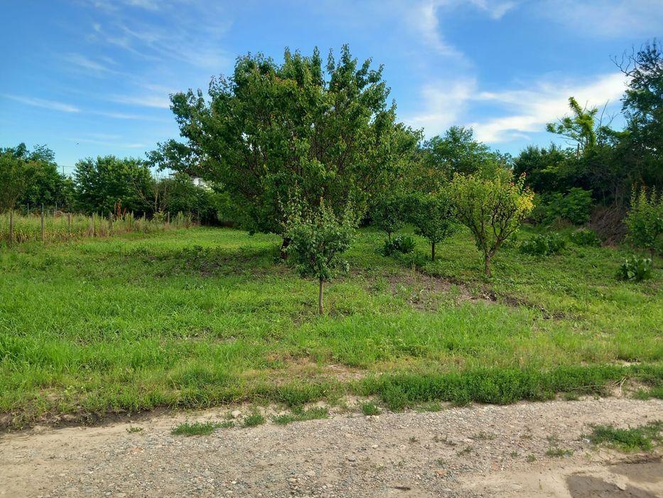 Teren de vanzare
