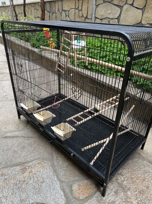 Голяма клетка папагали