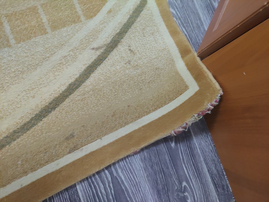 Продам палас 2.45х4.00 м. Б/у.