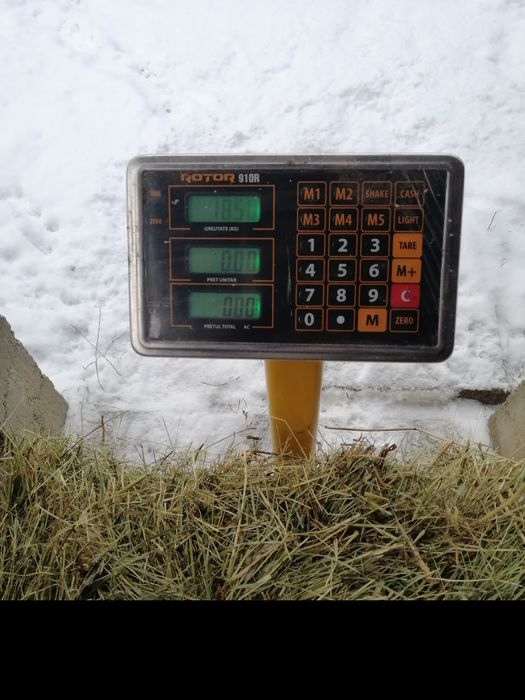 Fan de vanzare (an prod:2025)