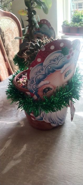 Кактусы и сукулент новогодние подарки