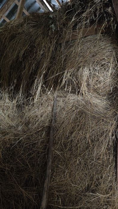 Fân fân fân fân calitate bună