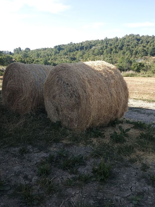 De vânzare baloți de fân.