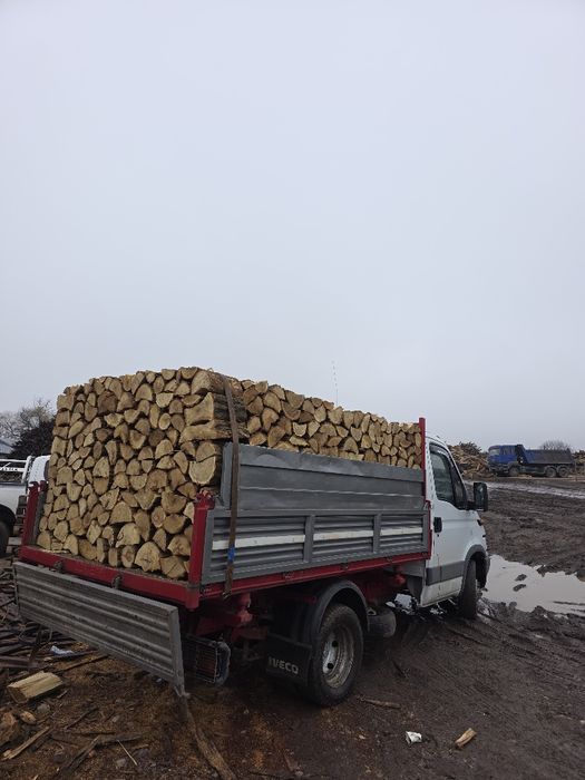 Lemn Foc salcâm tăiate buștean sau la palet