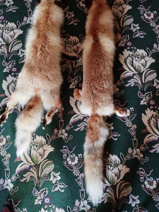 Аренда/Прокат для Науырыз