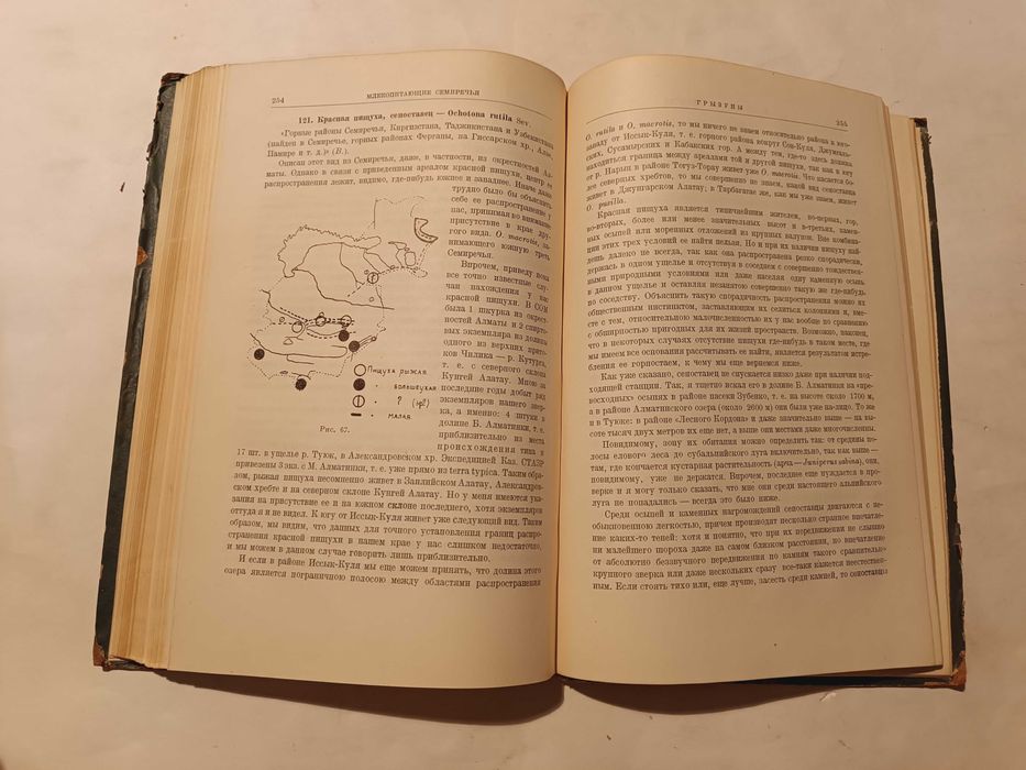 1936 Млекопитающие Семиречья Шнитников