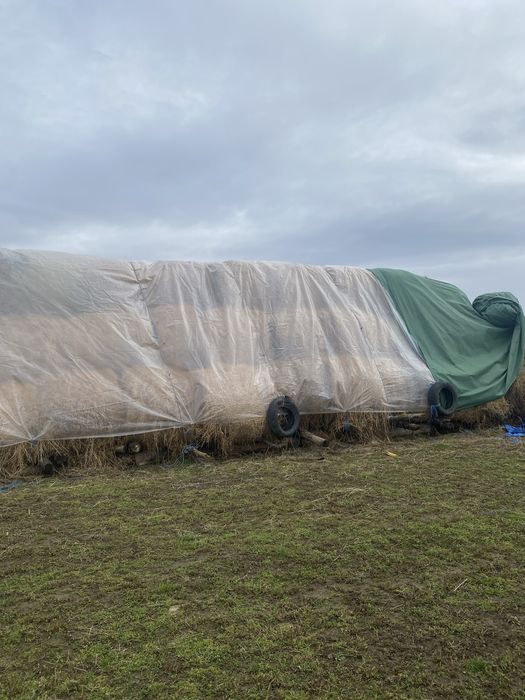 Baloți lucernă de vânzare