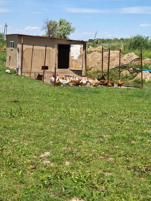 Земля! Продам 6,4 га земли.